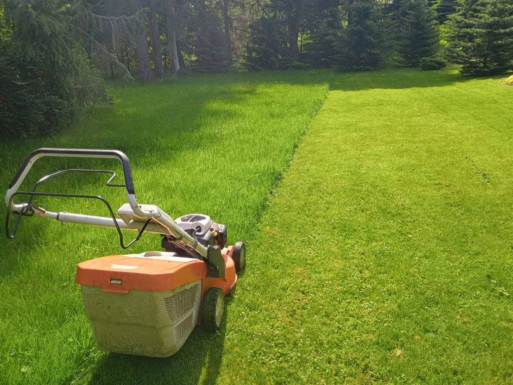 Koszenie trawy kosiarką w Jeleniej Górze